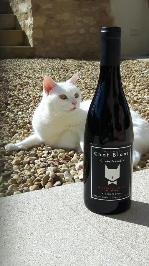 Le Cottage Du Chat Blanc Saint Didier  Eksteriør billede